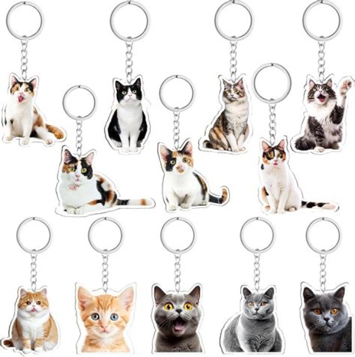 Are cat keychains legal?