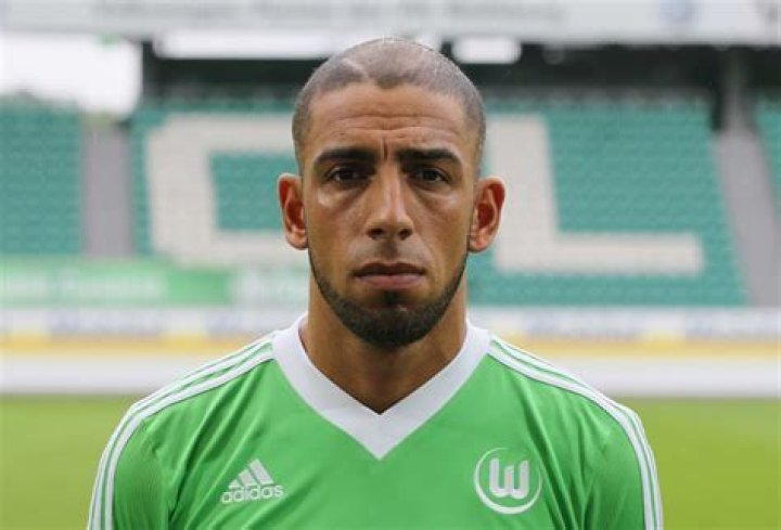 Ashkan Dejagah Ashkan Dejagah