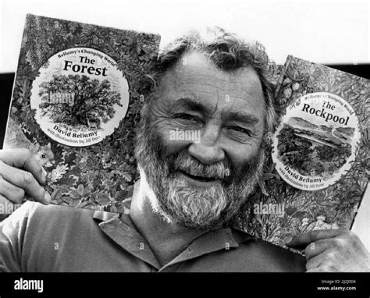 David Bellamy