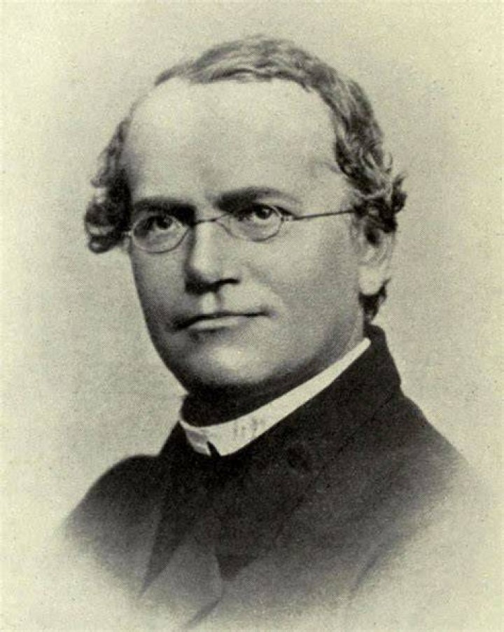 Gregor Mendel Gregor Mendel