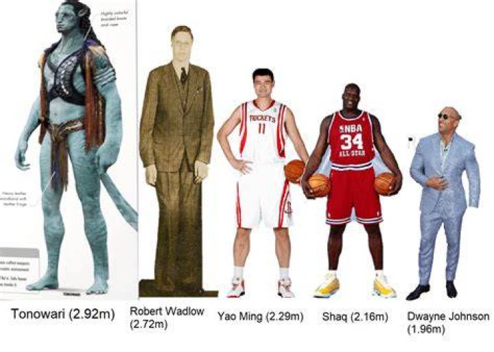 How tall is the Manhugger?