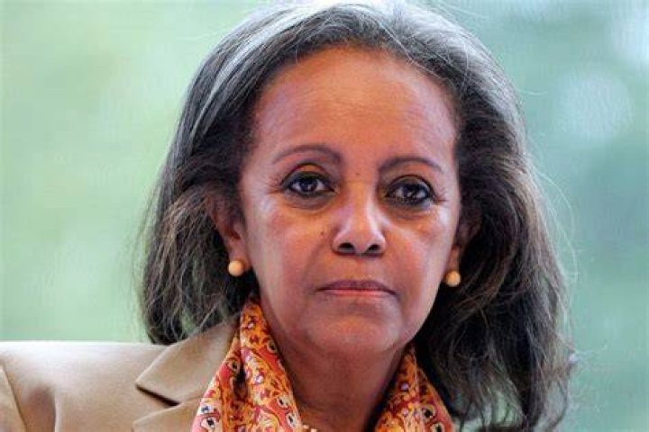 Sahle-Work Zewde Sahle-Work Zewde