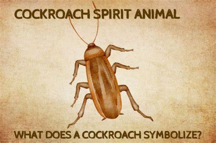 What does the cockroach symbolize in WALL-E?