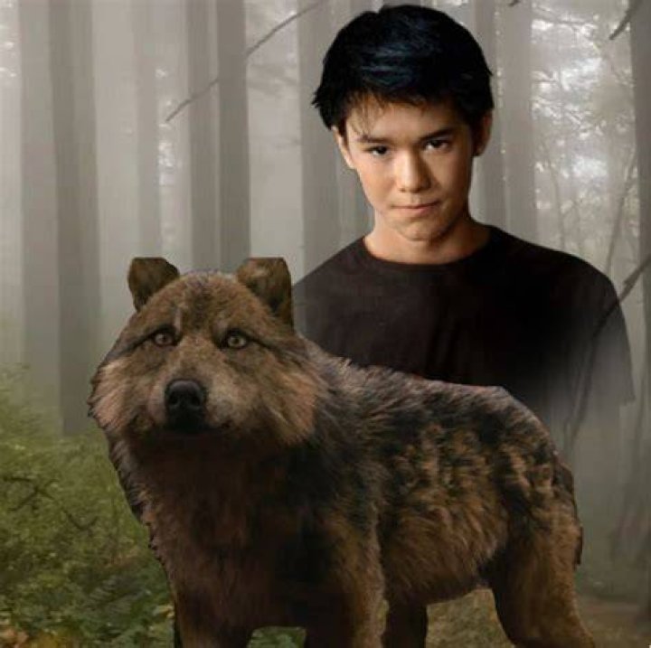Which Wolf Is Seth In Twilight? – Celebrity